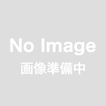 AXIS Surveillance Card 256 GB