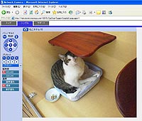 PCでモニタリング